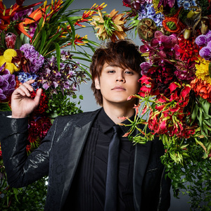 免费黄色网址查找
