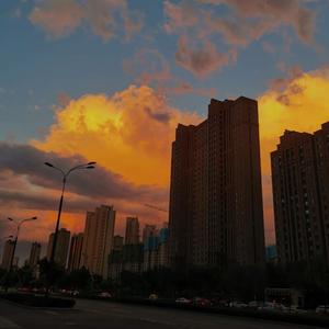 在线视频网站黄色
