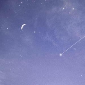 日本真人裸交视频
