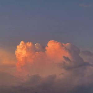 尤物国产区精品视频
