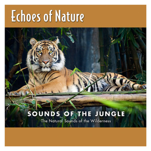 二次元，人物羞羞做爱视频
